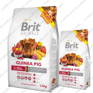 BRIT GUINEA PIG 1.5KGS