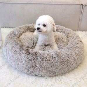 PET BED