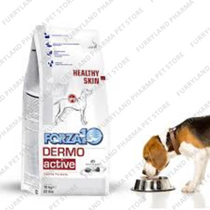 FORZA 10 DERMO ACTIVE 4KGS
