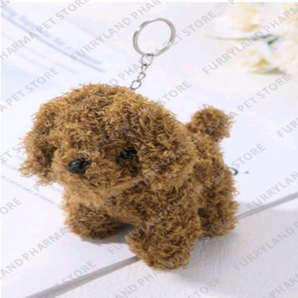KEYCHAIN