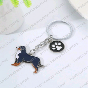 KEYCHAIN