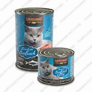 LEONARDO WET TIN OCEAN FISH