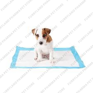 BAMBI 60X60 TRAINING PADS (40 PCS)